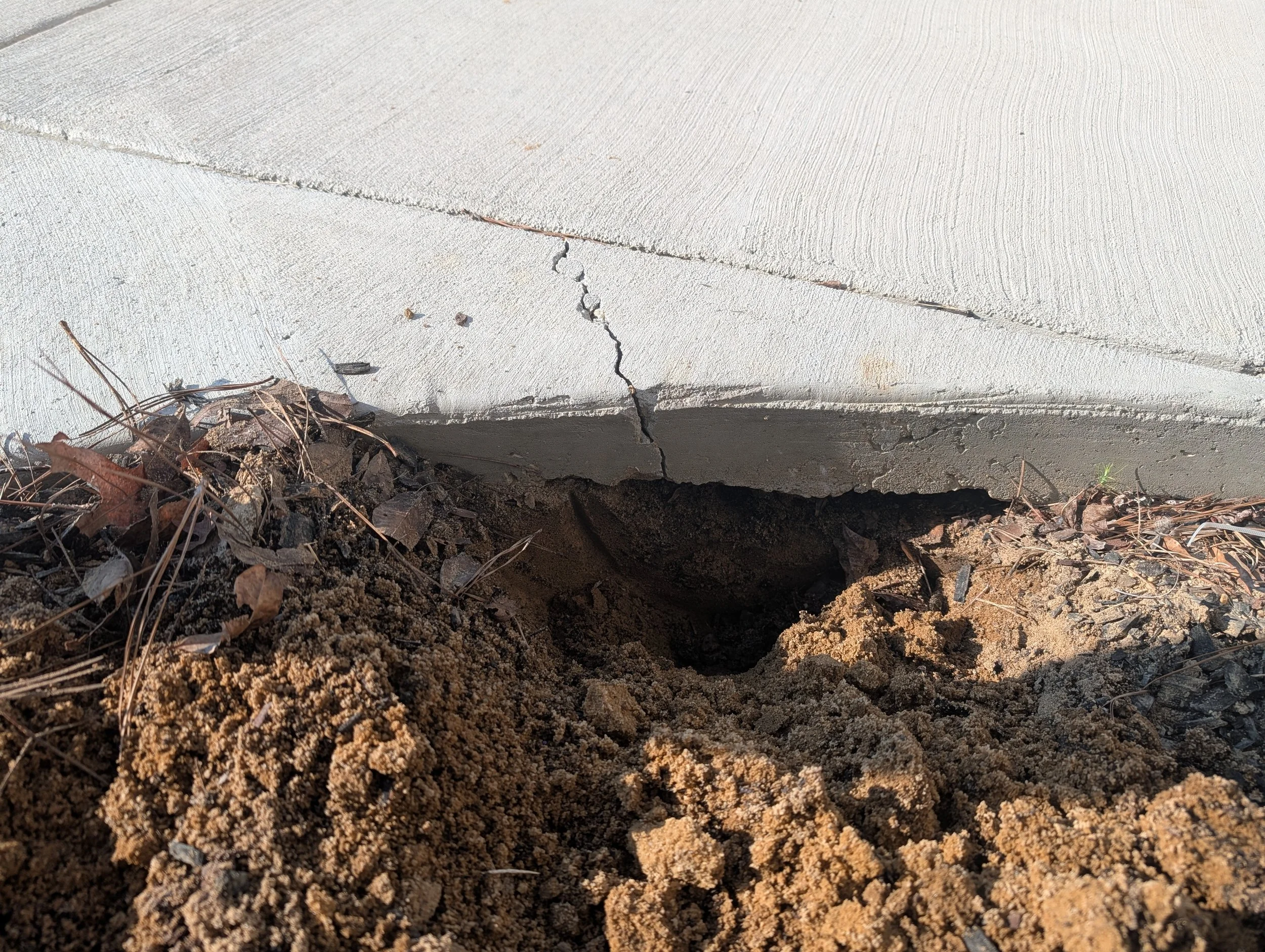 Cracked concrete foundation with soil and dead leaves around it.