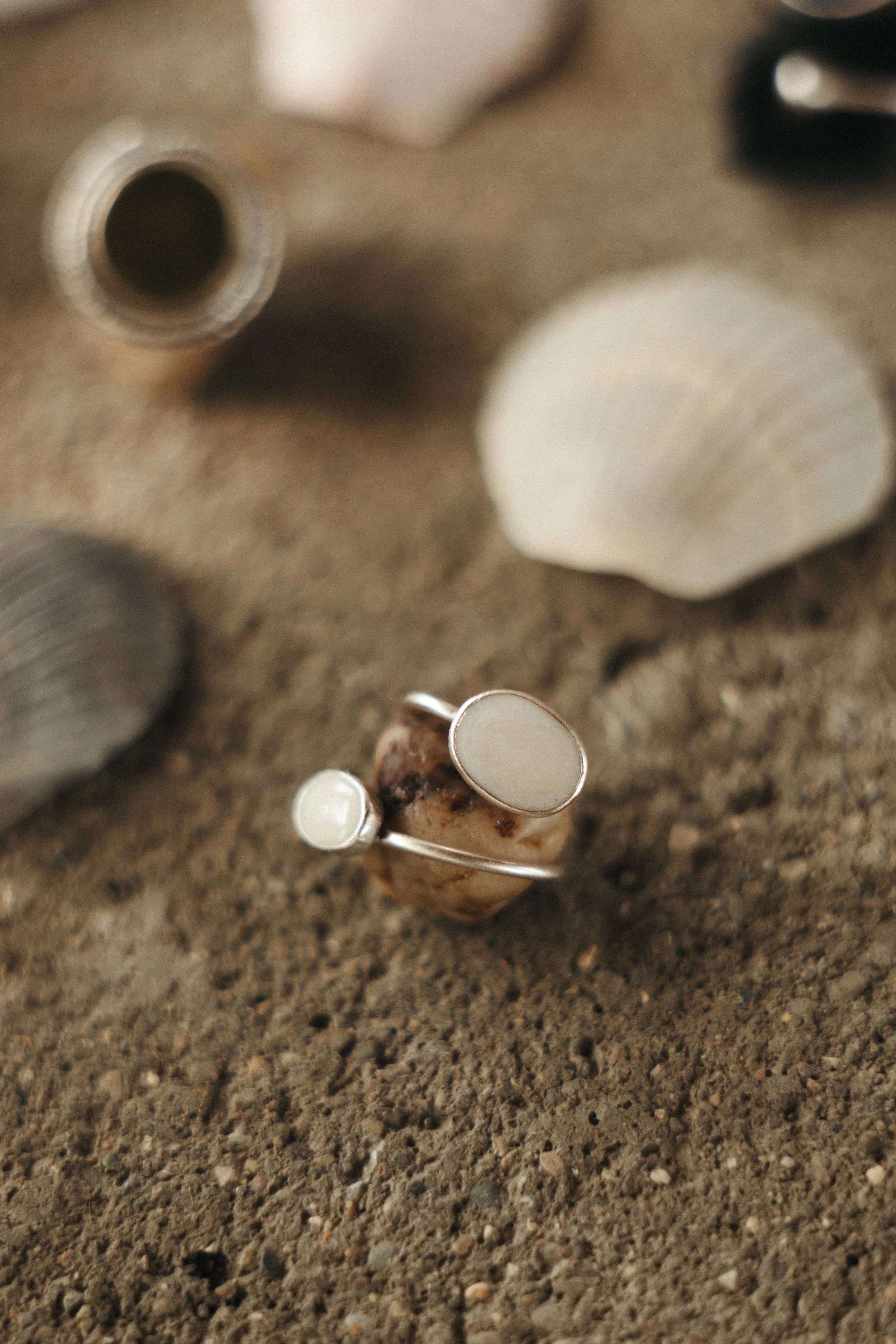 ER2A0018.JPG