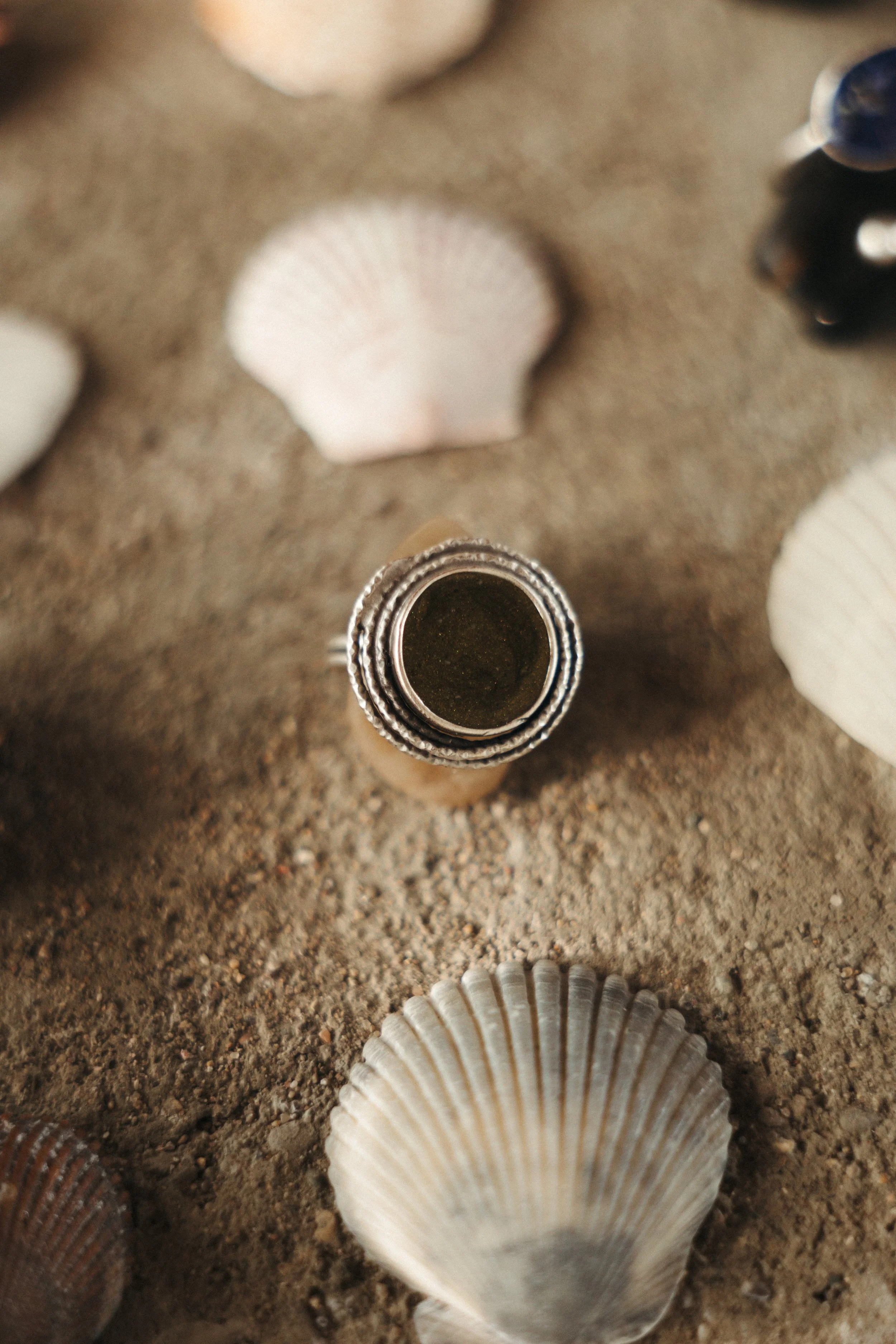 Grounding Ring