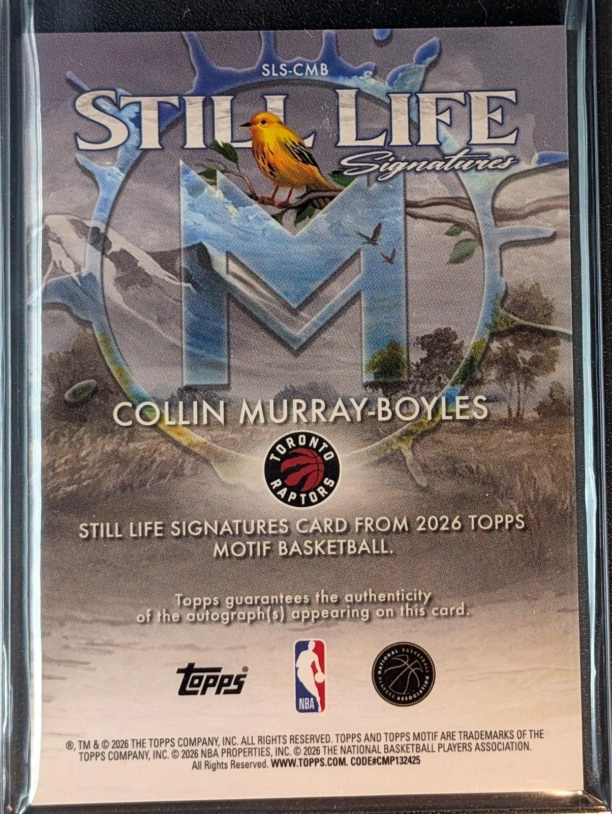 Back of 2025-26 Topps Motif /39 Collin Murray-Boyles Still Life Signatures #SLS-CMB RC