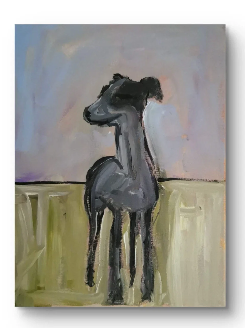 Graceful Greyhound