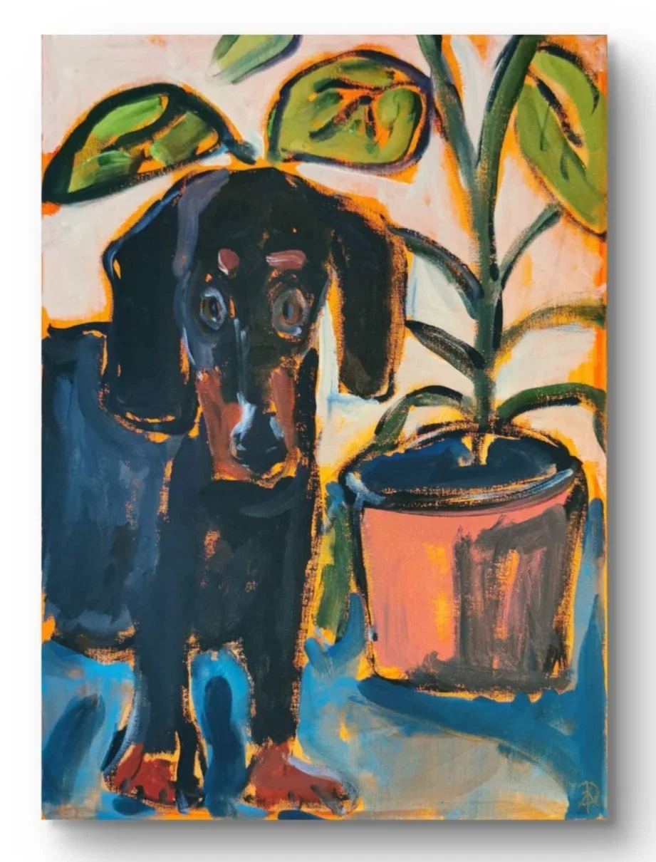 Dachshund And Pot Plant