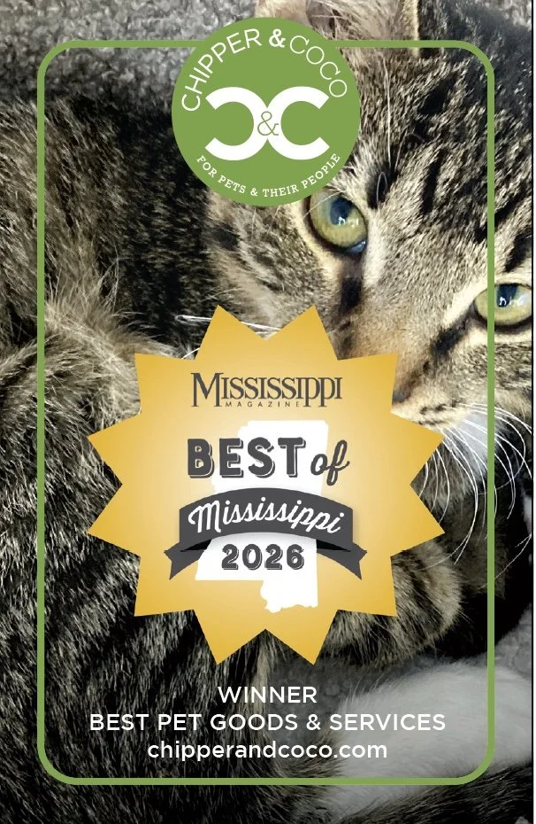 Award certificate from Chipper & Coco featuring a close-up image of a tabby cat and text indicating they are the best pet goods and services in Mississippi for 2026.