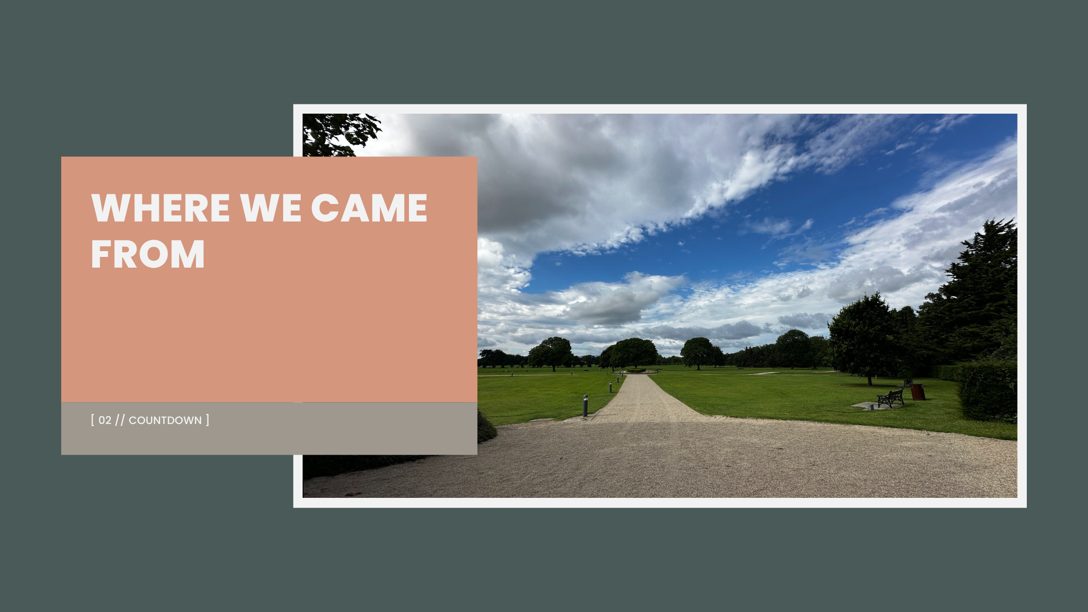 Where We Came From