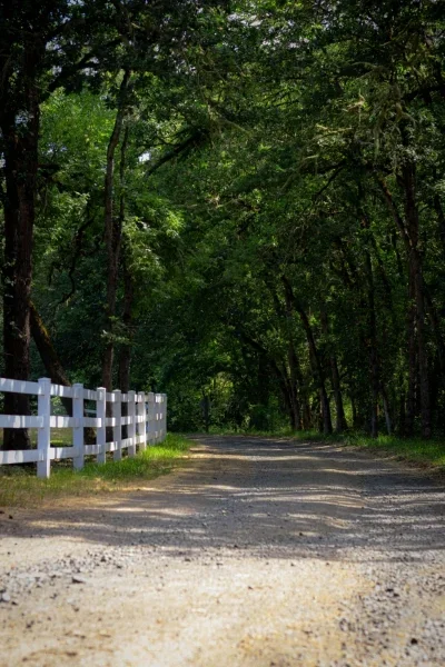Gravel road and white fence in a shaded wooded area