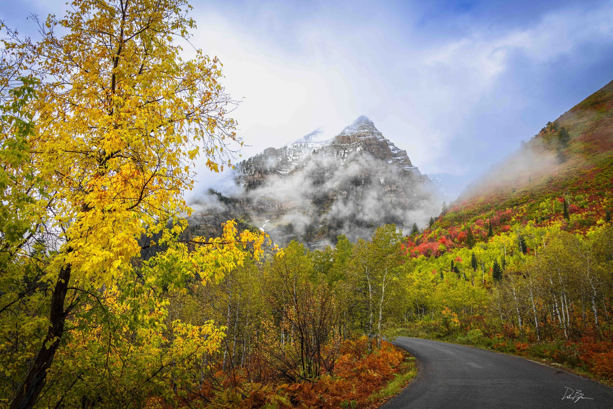 A winding road passes through a colorful autumn landscape, with trees featuring yellow, orange, and red leaves. In the background, mountain peaks are partially obscured by mist and clouds, creating a scenic view of a mountainous forest.