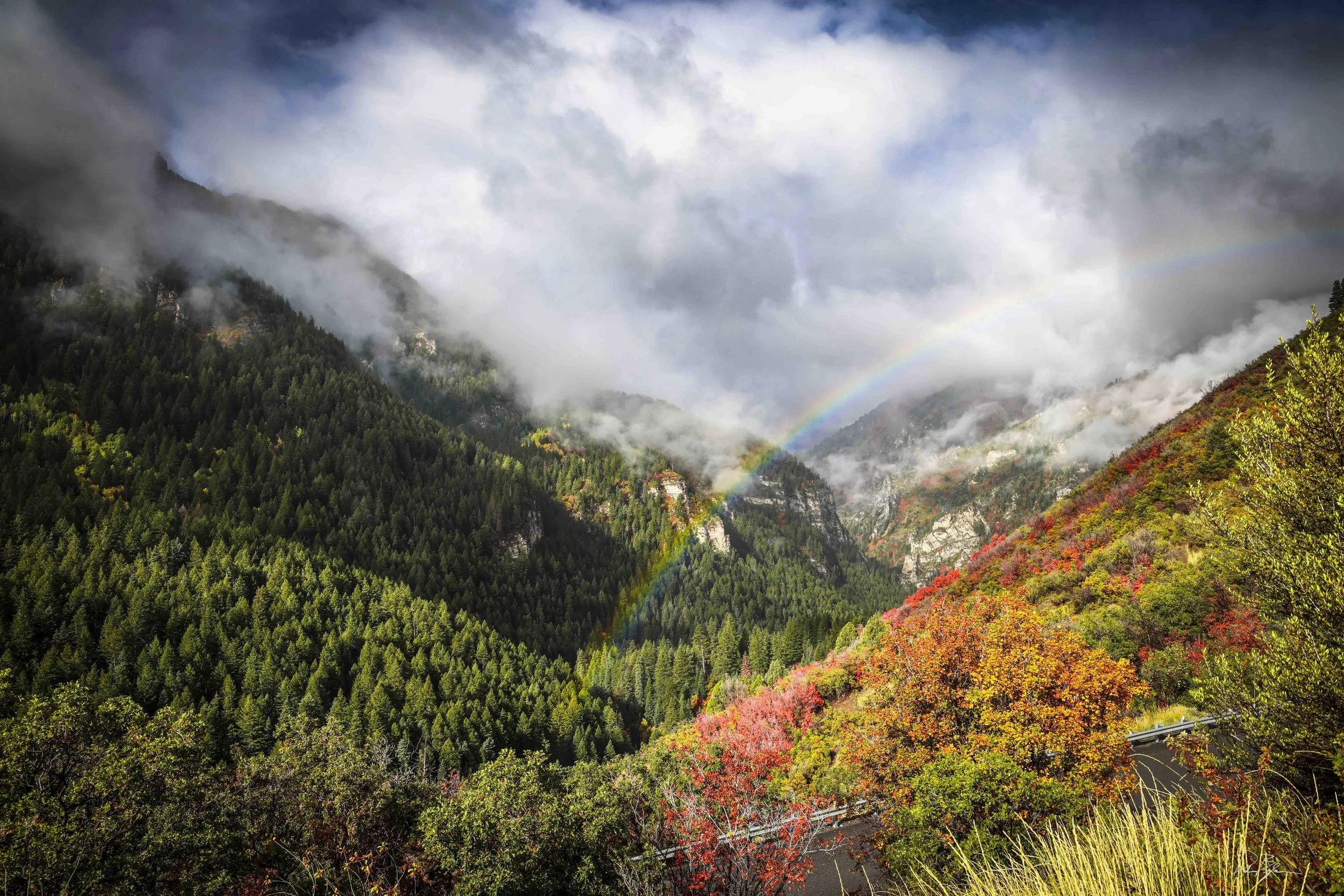 Mountain landscape with dense green forest, fog, clouds, a rainbow, and colorful autumn trees on a hillside.