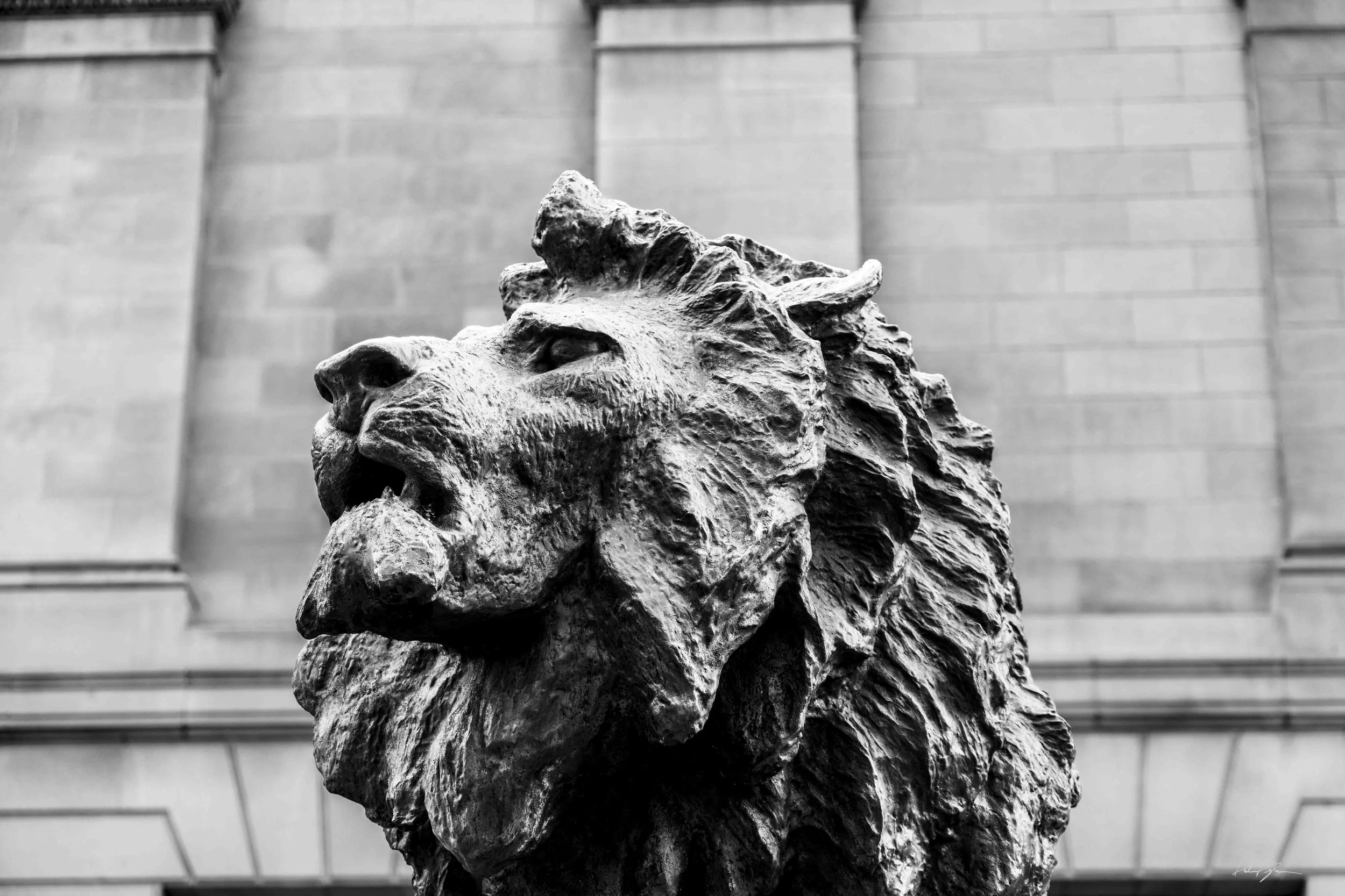 Close-up of a lion sculpture made of metal or stone, with detailed mane, gazing to the left, against a blurred background of a building with brick or stone facade.