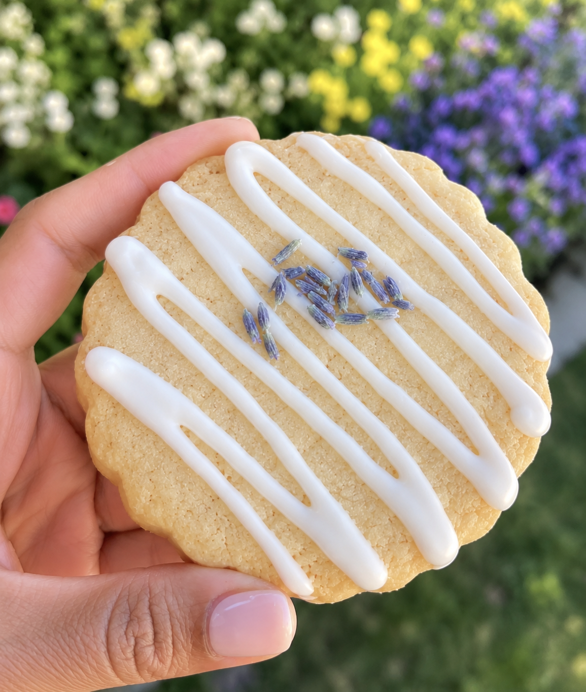 Honey Lavender Cookie-With Lemon Glaze