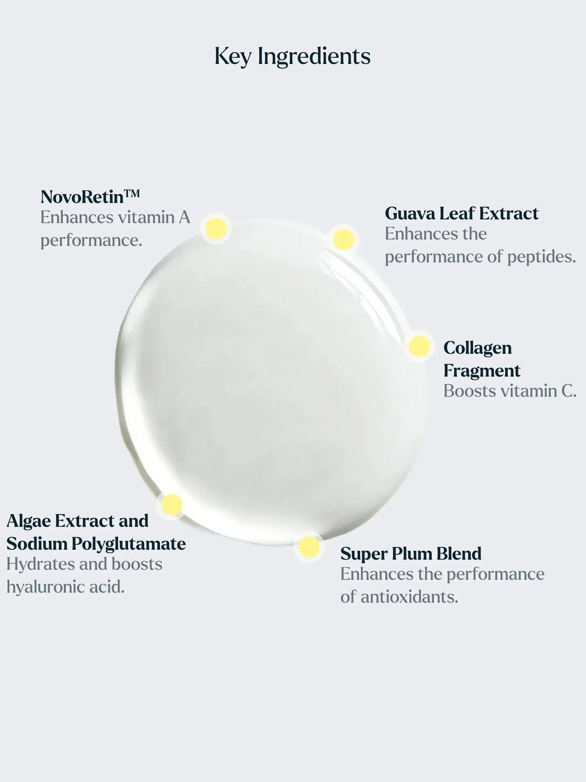 TheAmplifier_IngredientSpotlight_1000x1333px.jpg.webp