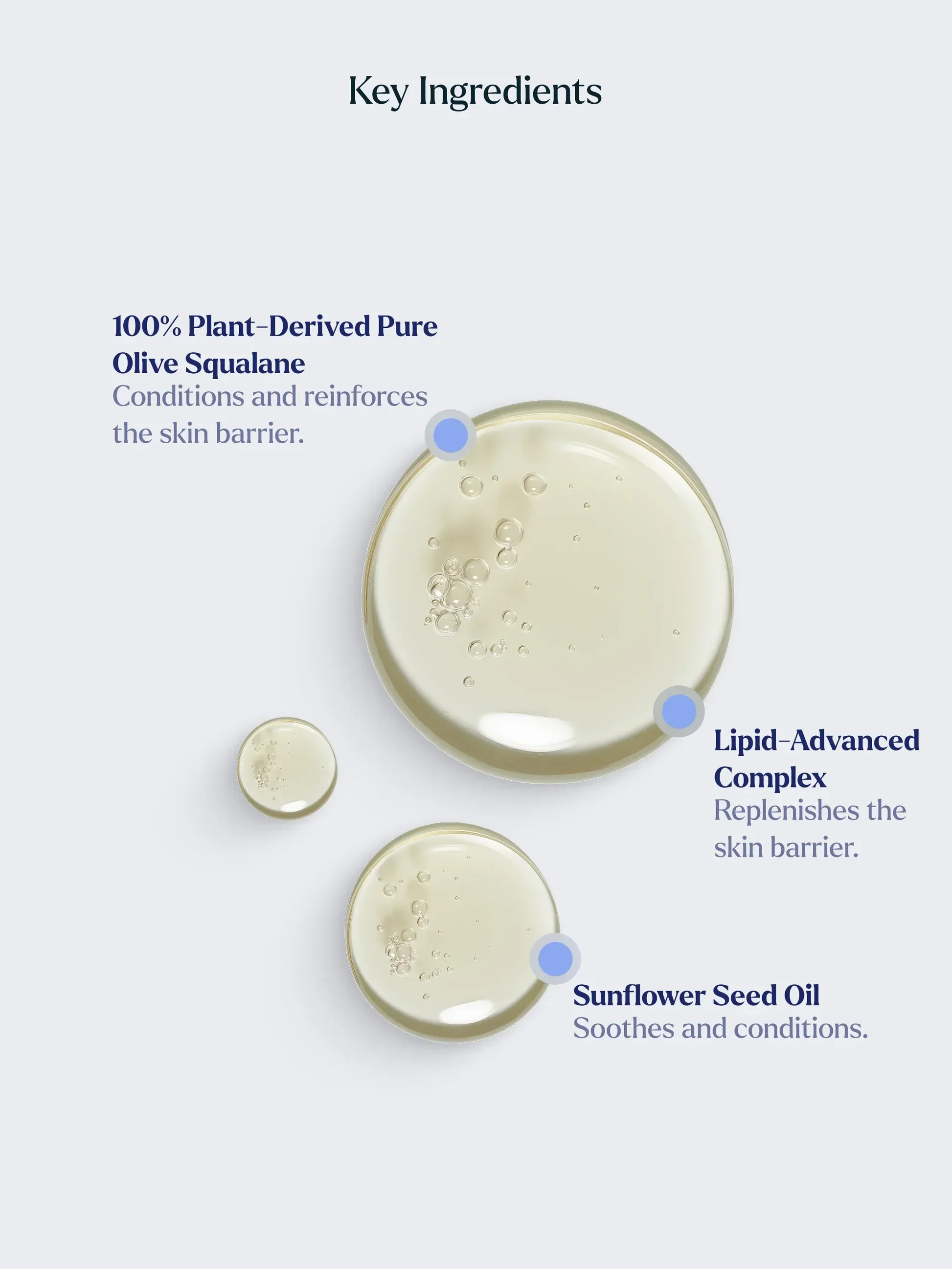 TheSupportOil_IngredientSpotlight_1000x1333px.jpg.webp