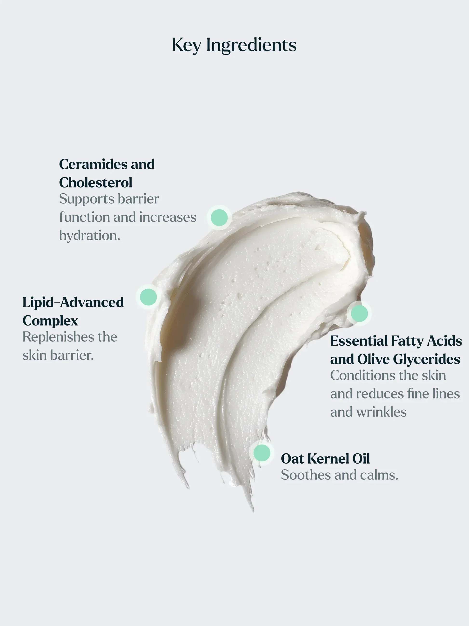 TheRichMoisturiser_IngredientSpotlight.jpg.webp