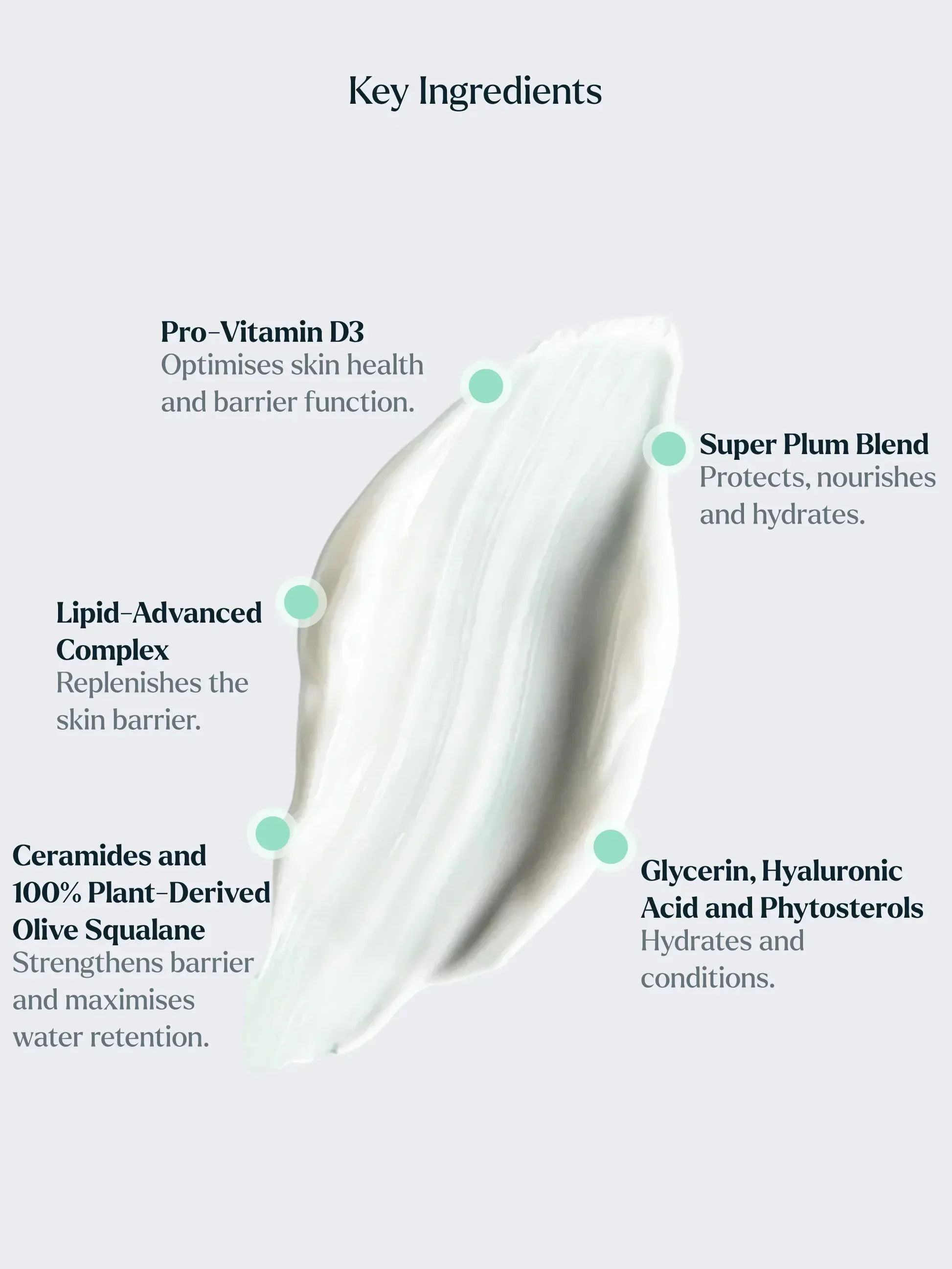 TheMoisturiser_IngredientSpotlight.jpg.webp