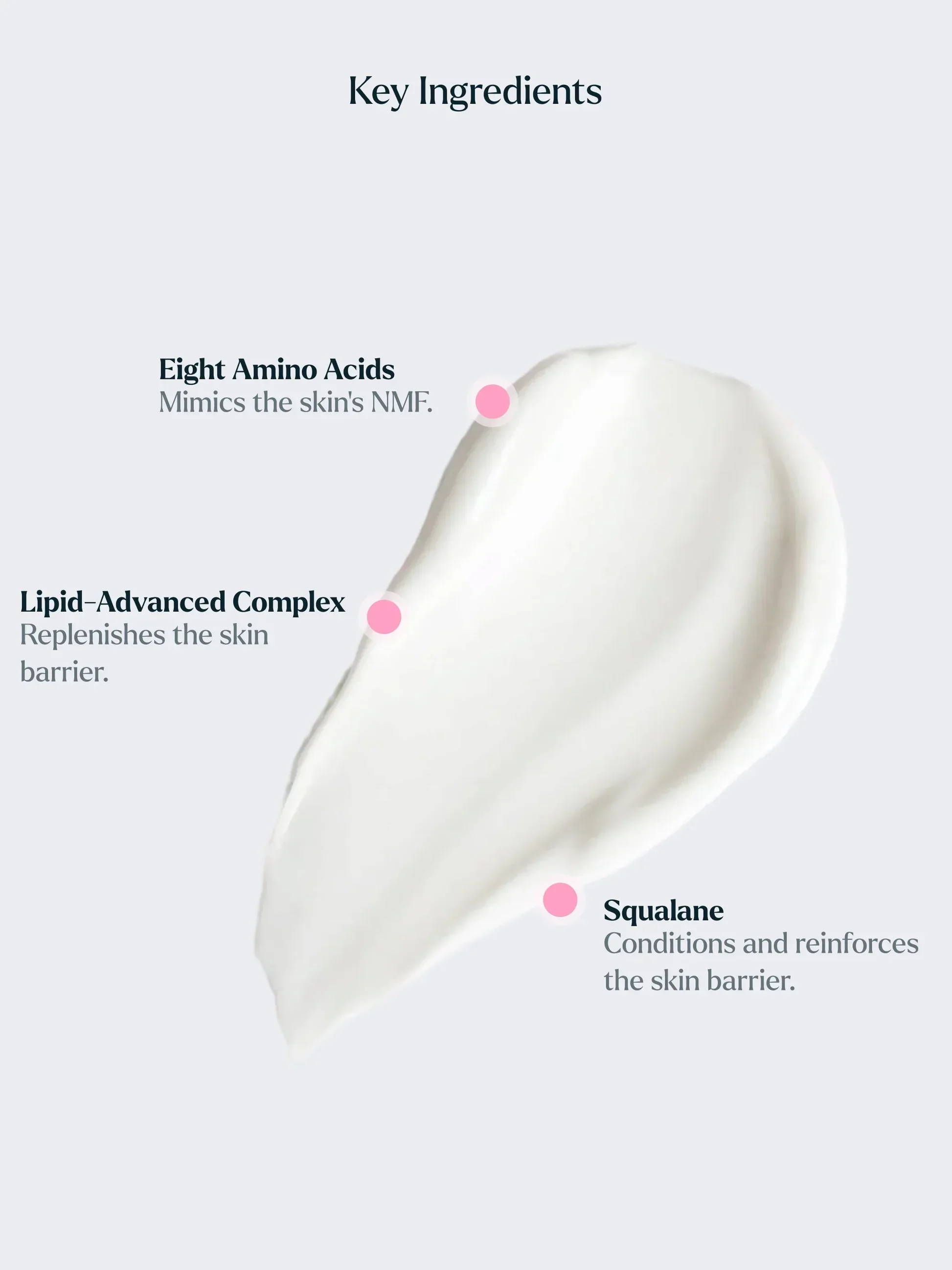 TheCreamCleanser_IngredientSpotlight_1000x1333px.jpg.webp