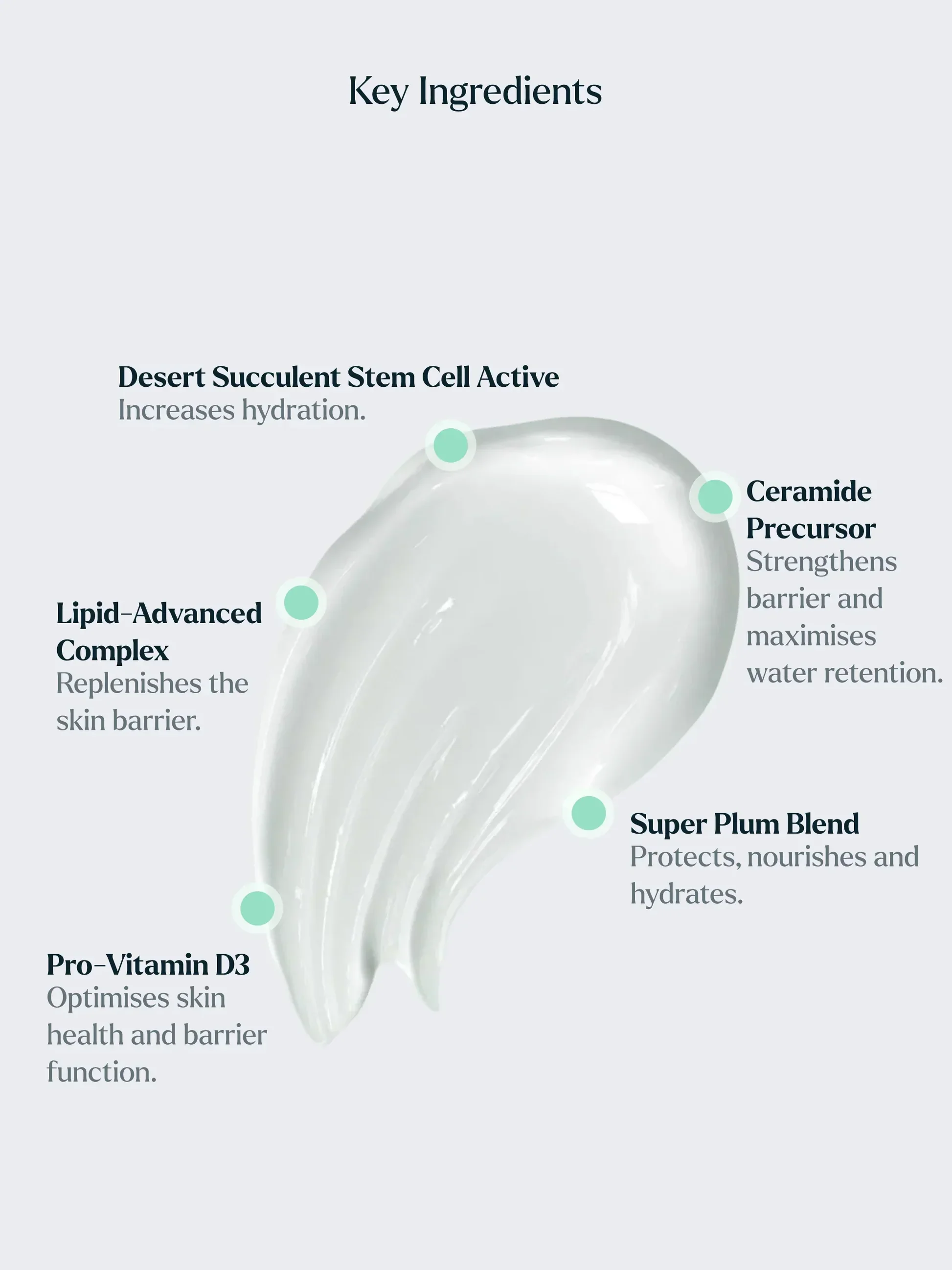 TheLightMoisturiser_IngredientSpotlight.jpg.webp