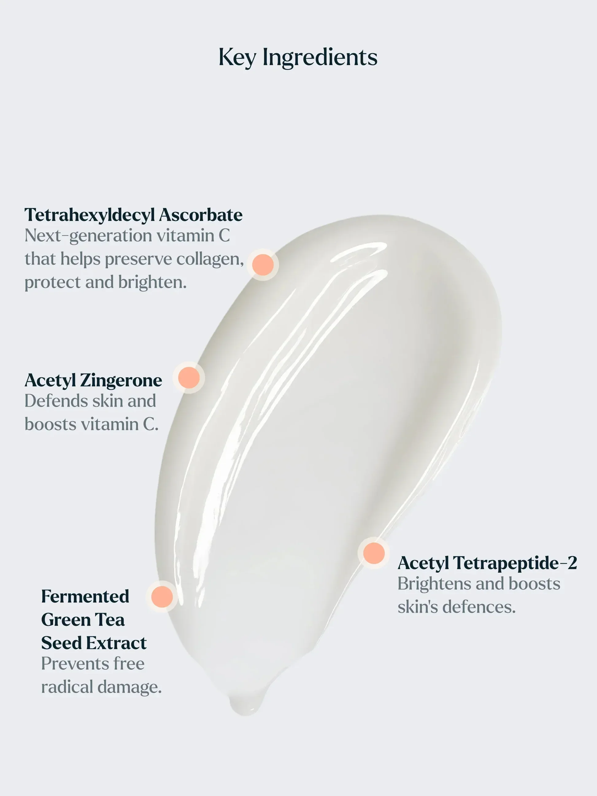 TheAntioxidant_IngredientSpotlight.jpg.webp