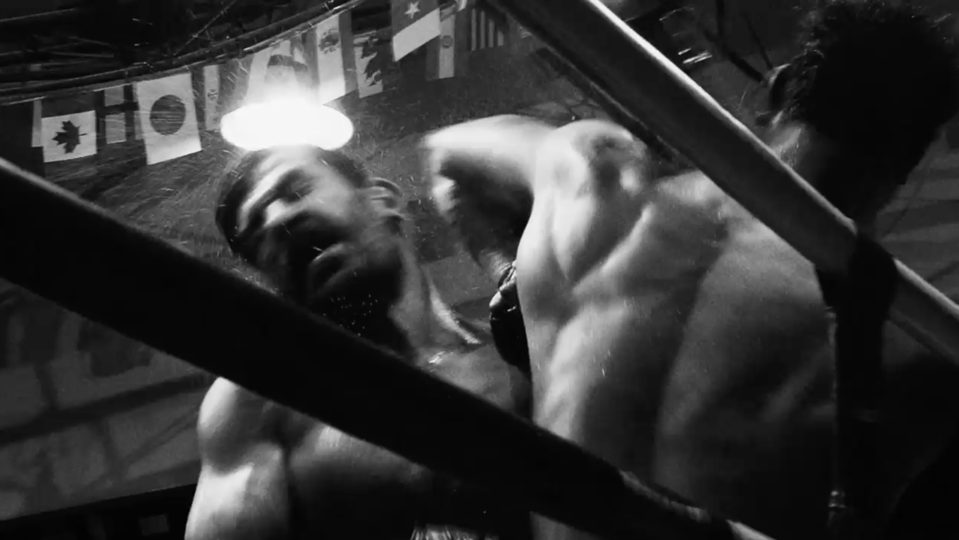 The Authentic Muai thai  Project