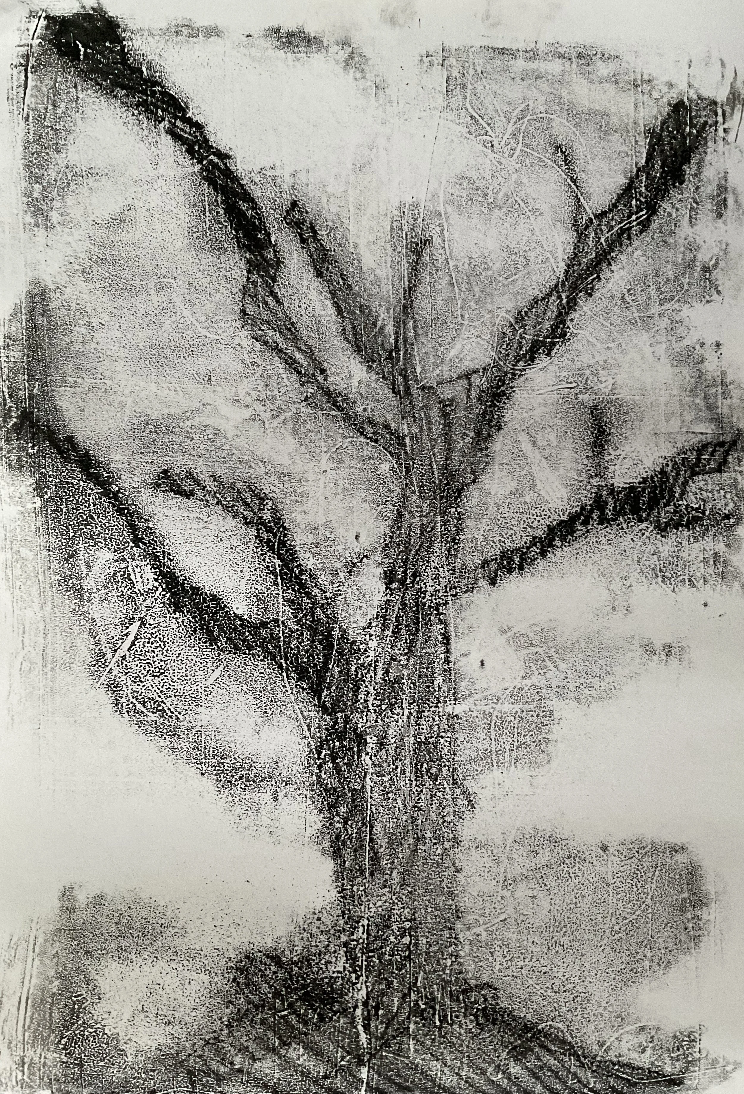 Untitled -Black & White Experiments