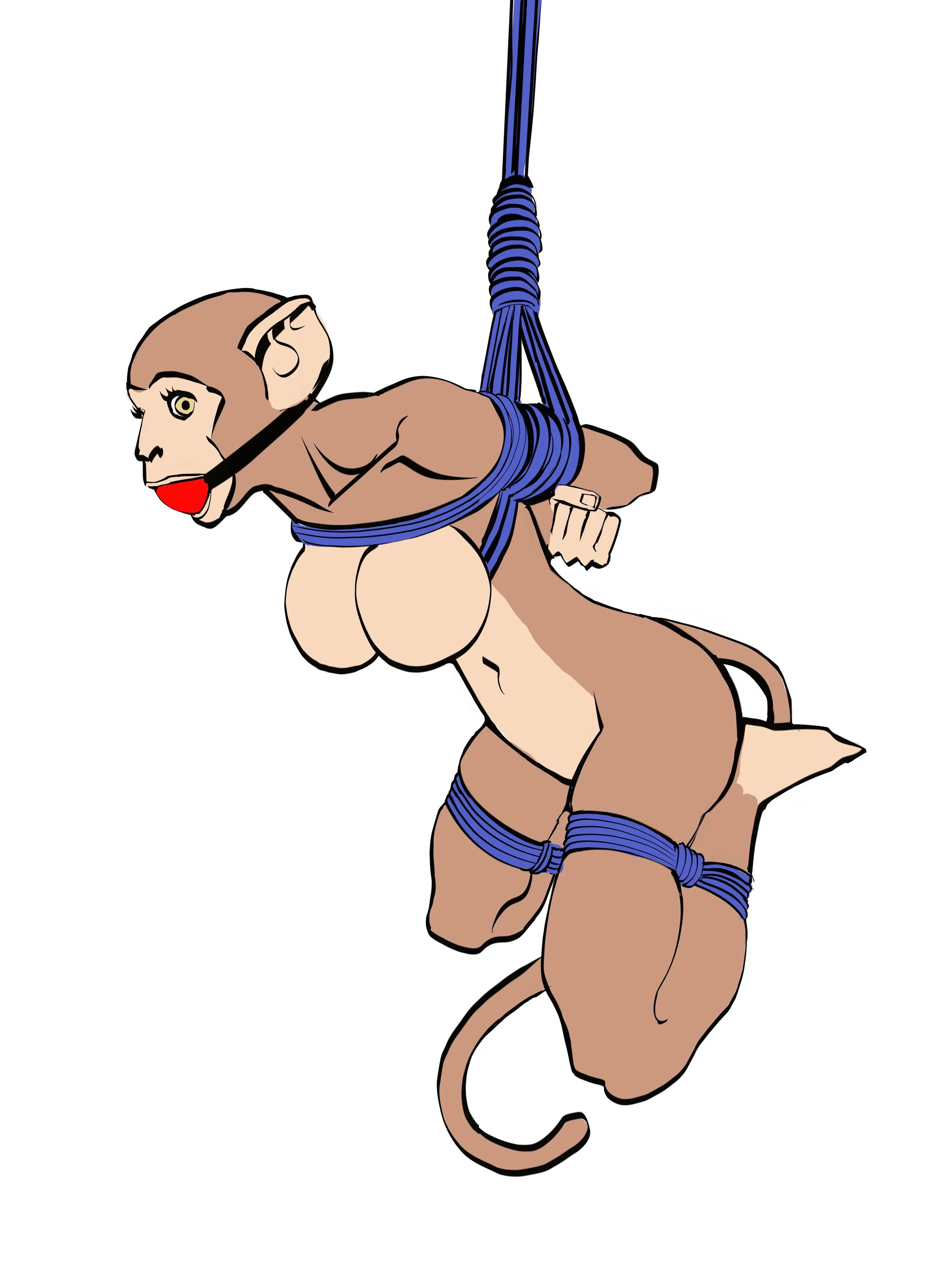 Monkey