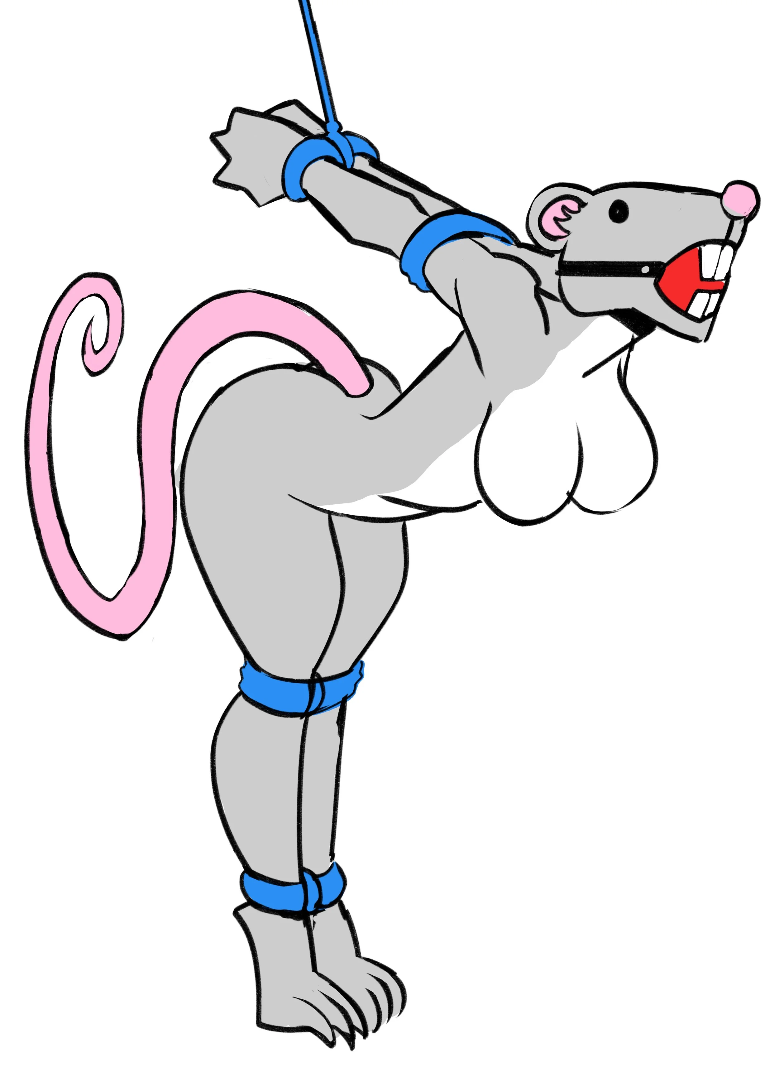 Rat