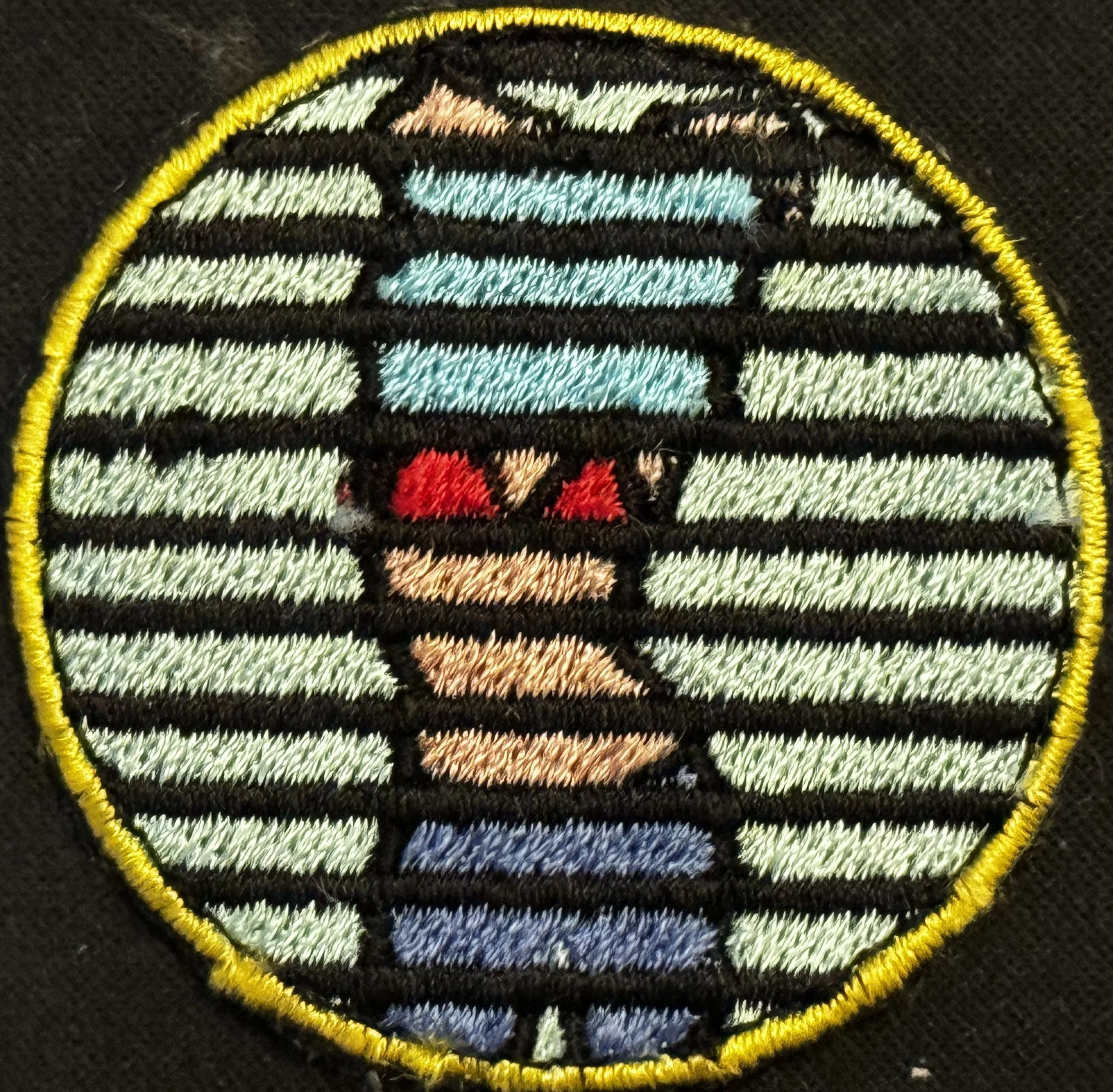 Close-up of embroidered patch featuring the emblem and colors of the Detroit Lions football team, with black, white, blue, and red threads on a black fabric background.