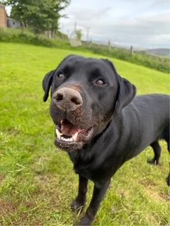 buster.jfif