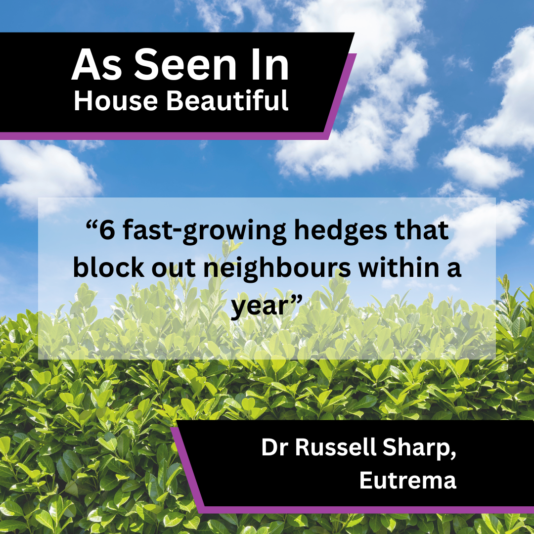 Eutrema Shares Fast-Growing Hedge Advice in House Beautiful
