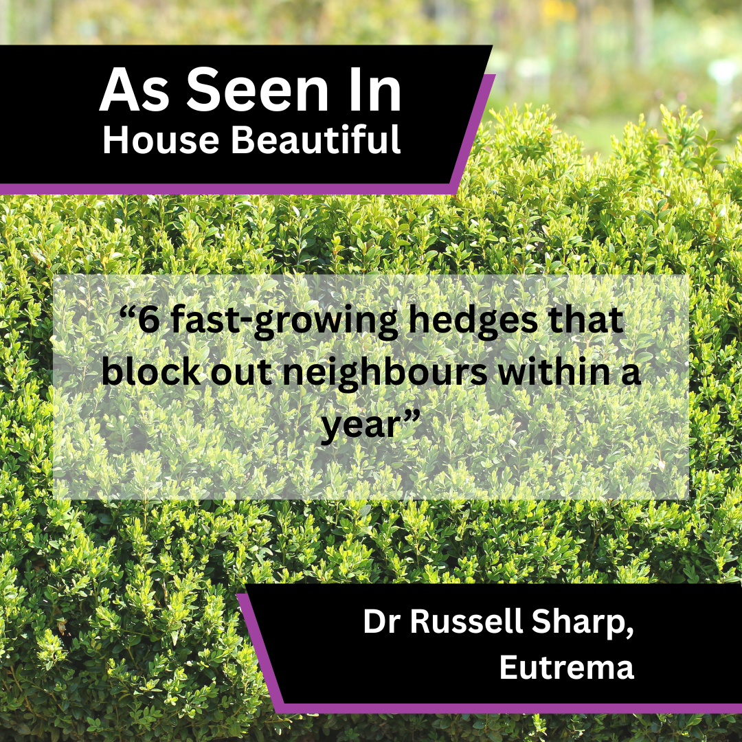 Eutrema Shares Fast-Growing Hedge Advice in MSN
