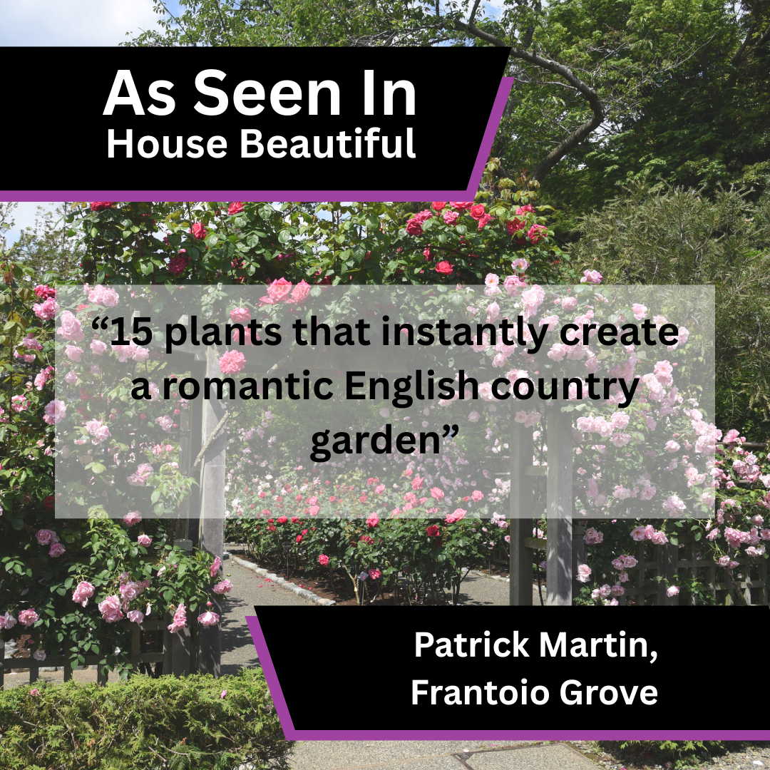 Frantoio Grove Shares English Country Garden Plant Advice in House Beautiful