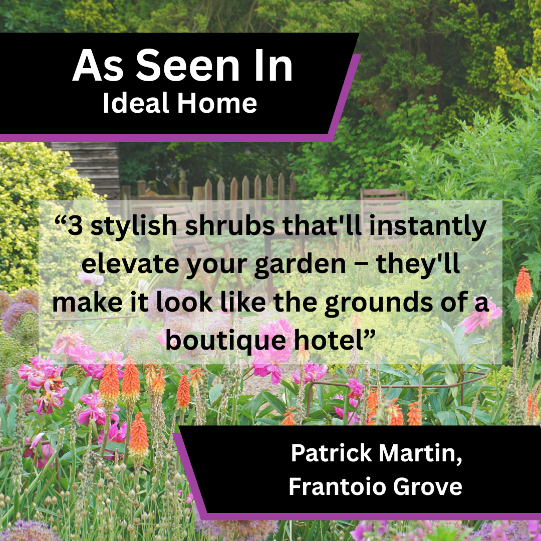 Frantoio Grove Shares Garden Shrub Advice in Ideal Home