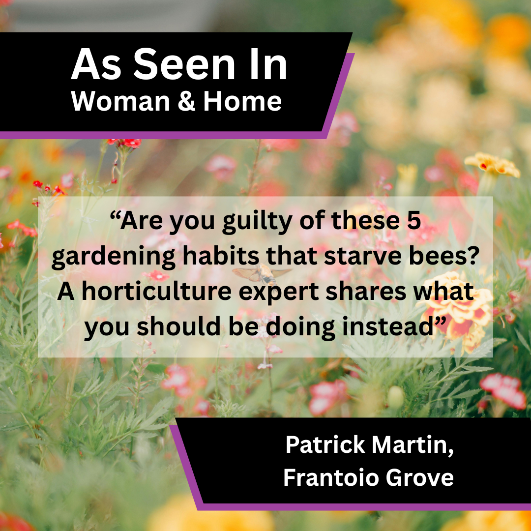 Frantoio Grove Shares Bee-Friendly Gardening Advice in Woman &amp; Home