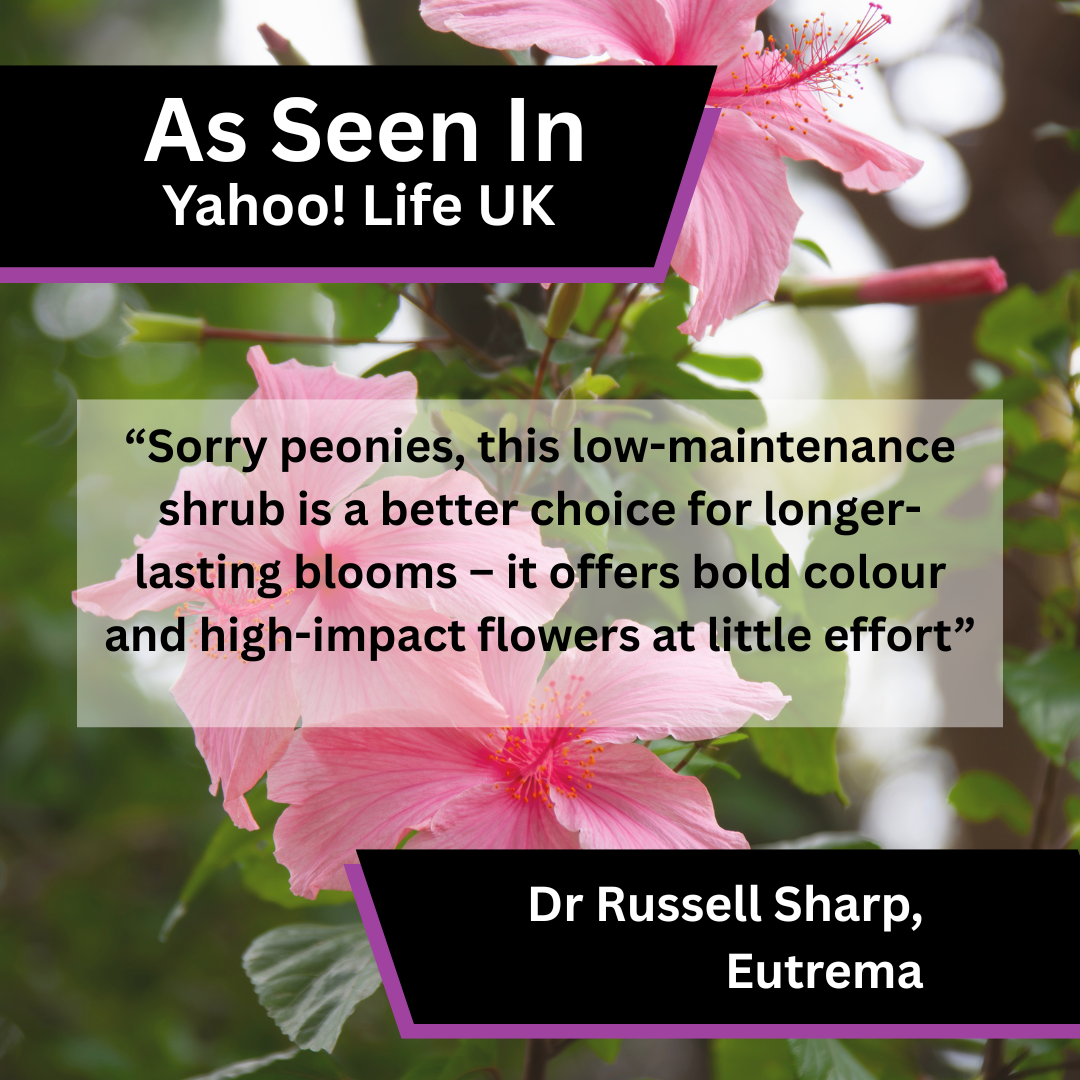 Eutrema Shares Shrub Care Advice in Yahoo! Life UK