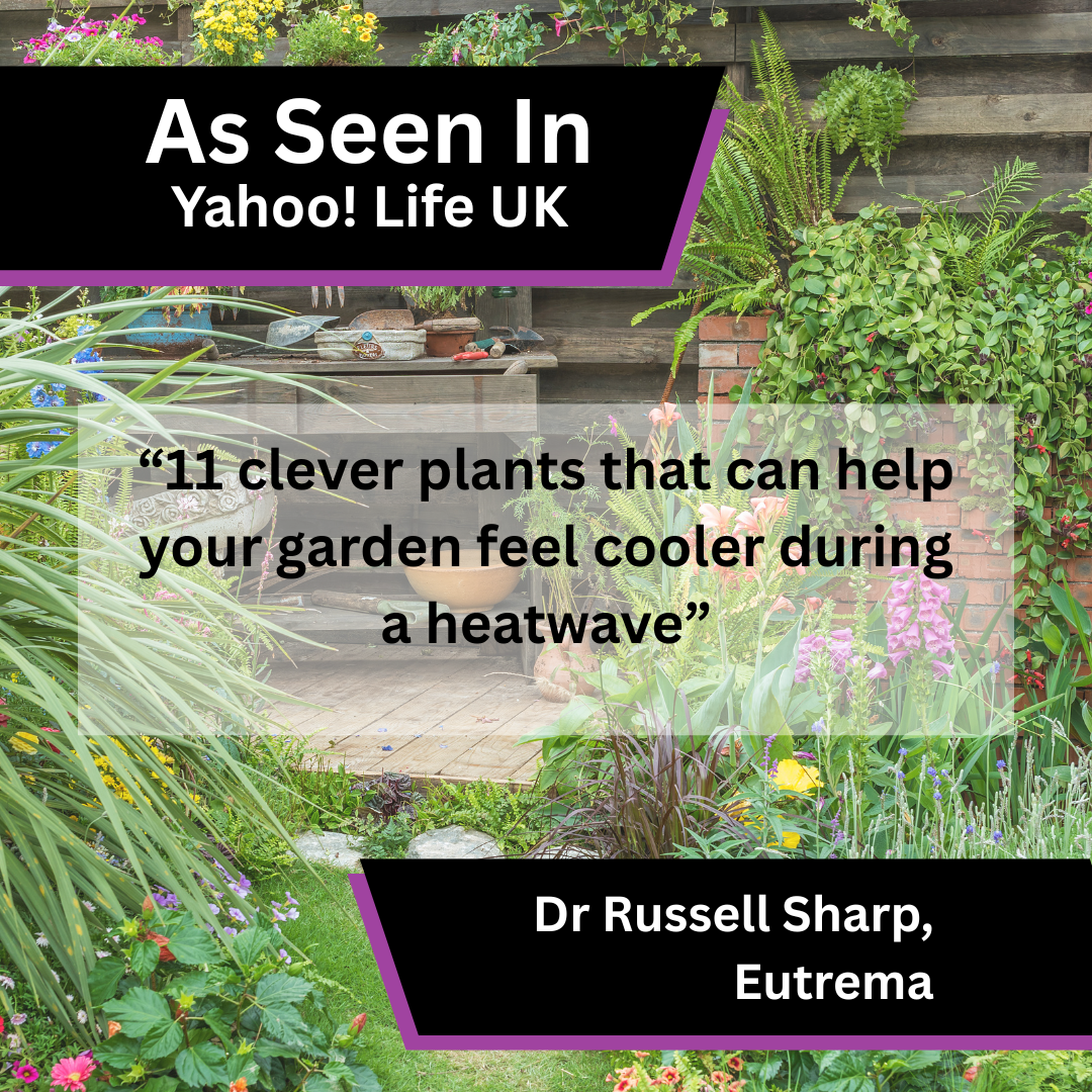 Eutrema Shares Heatwave Gardening Advice in Yahoo! Life UK