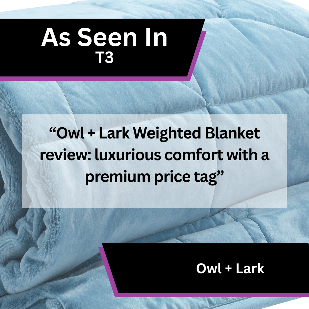 Owl + Lark, T3 - Template 1.png