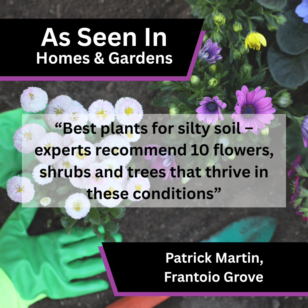 Patrick Martin of Frantoio Grove on best plants for silty soil in Homes & Gardens