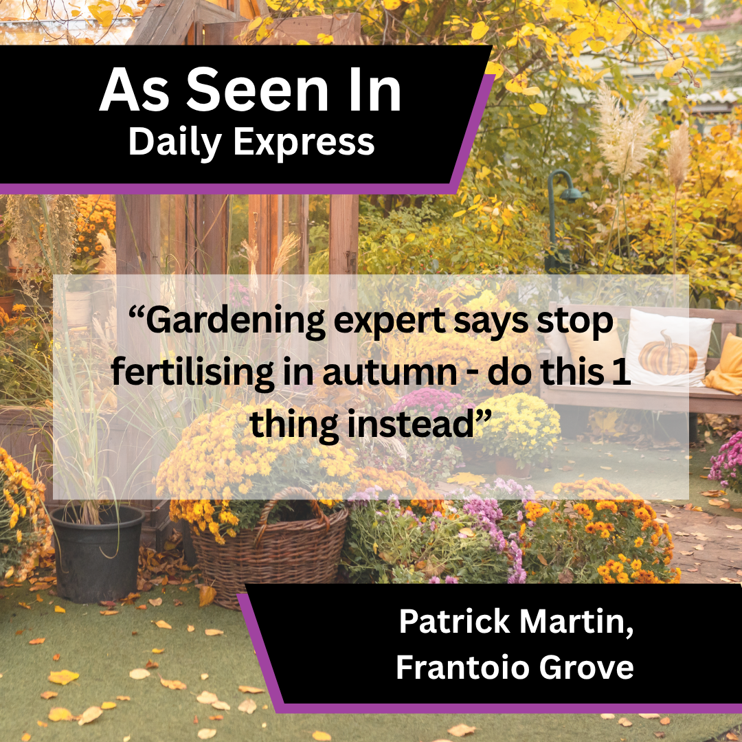 Frantoio Grove, Daily Express - Template 1.png