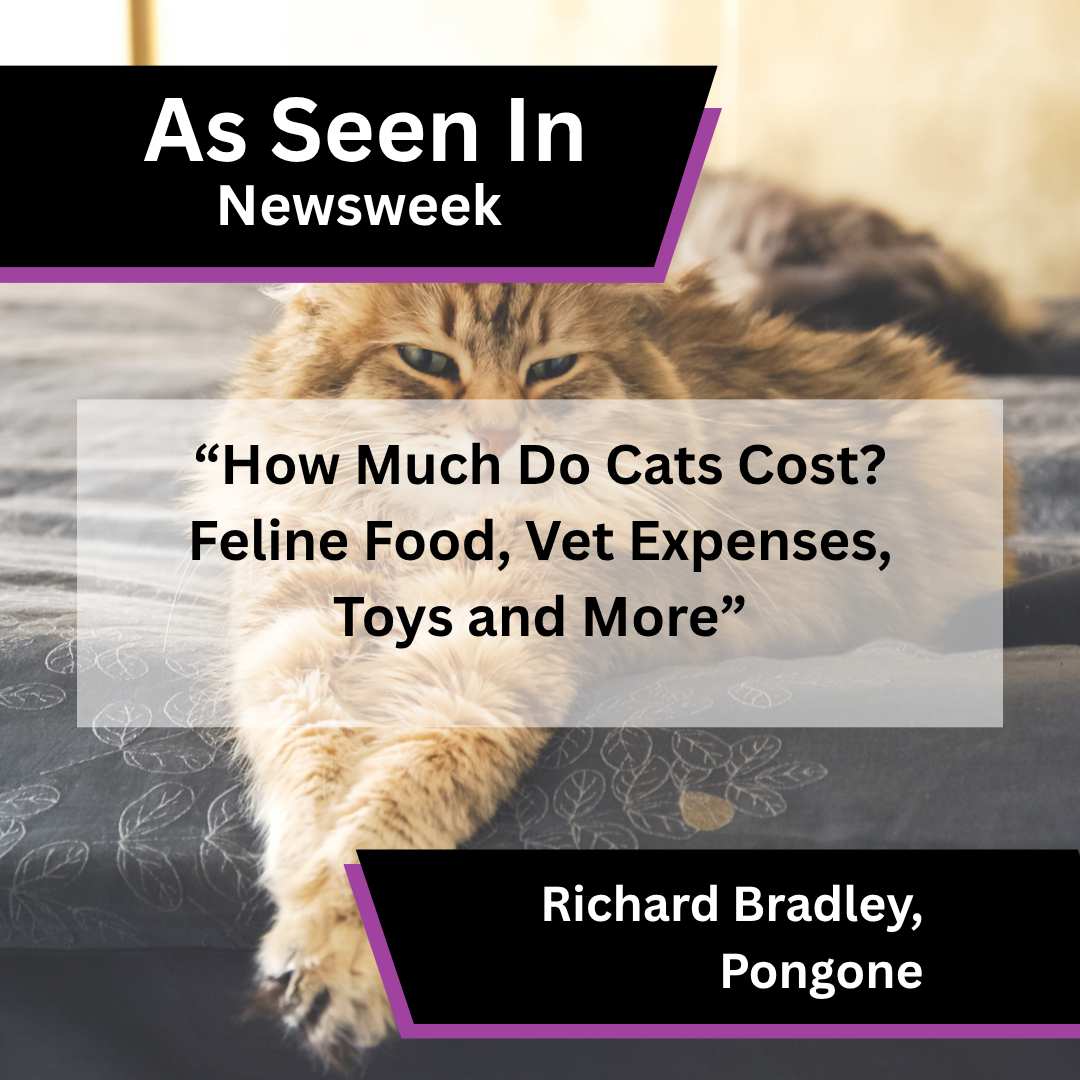 Pongone on cat ownership costs in Newsweek
