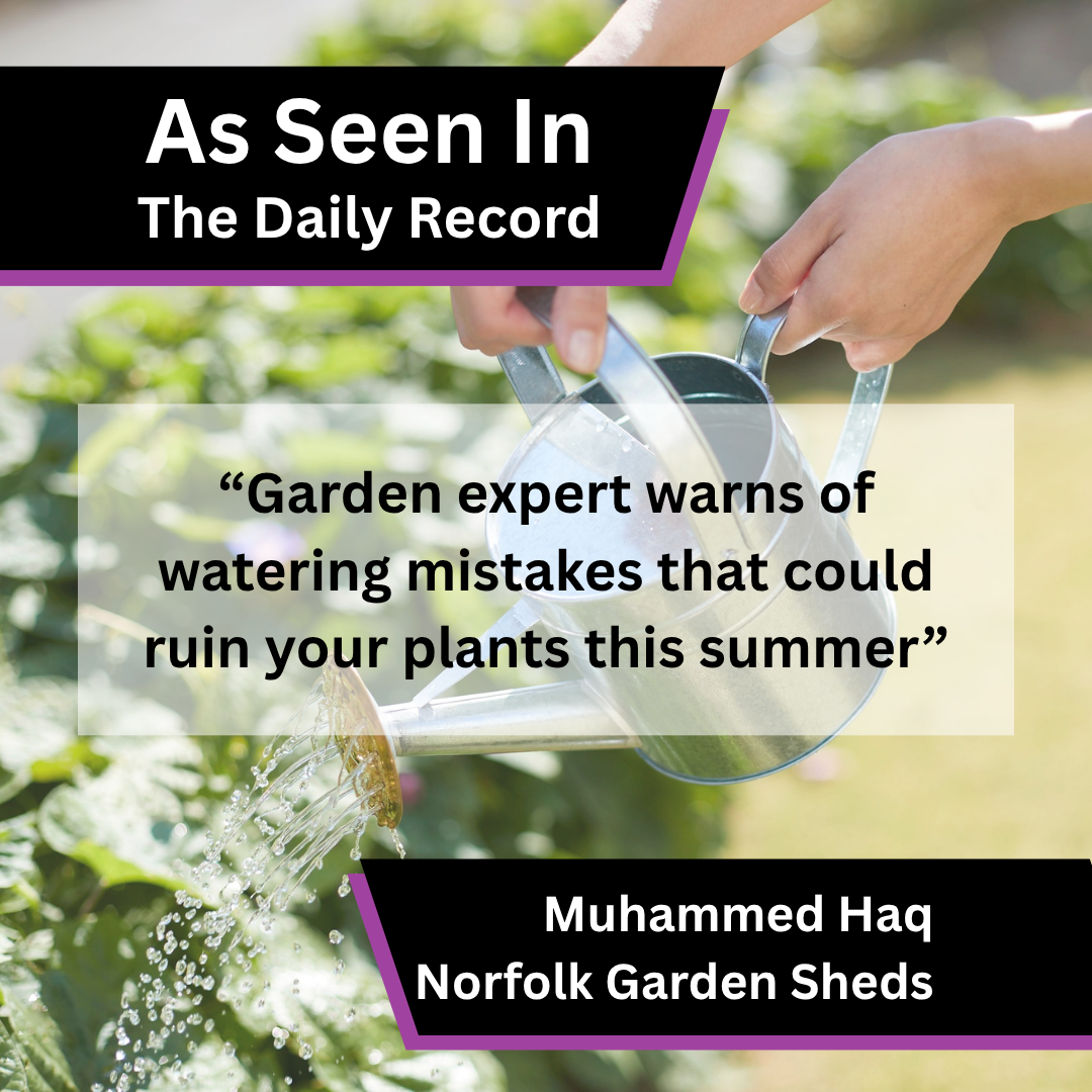 Muhammed Haq of Norfolk Garden Sheds on garden watering mistakes in The Daily Record