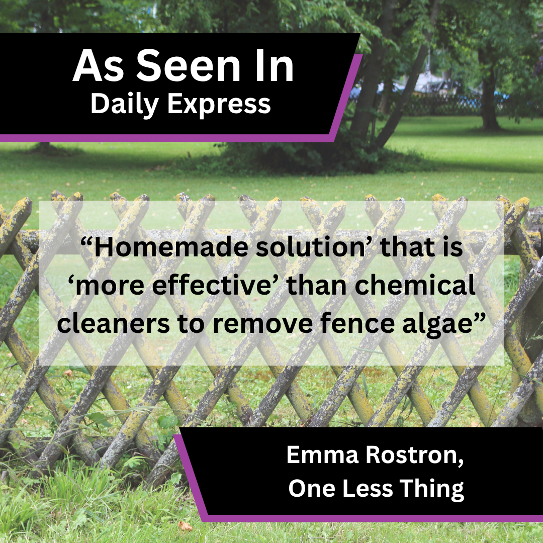 Emma Rostron of One Less Thing on removing green algae from fences in Daily Express