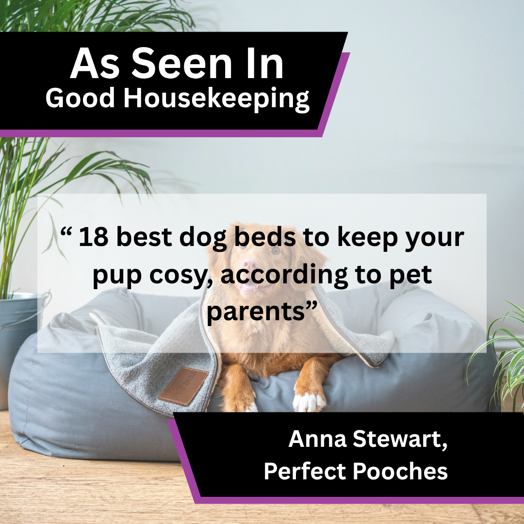 Good Housekeeping coverage about how to Choose the Perfect Dog Bed, featuring Perfect Pooches.