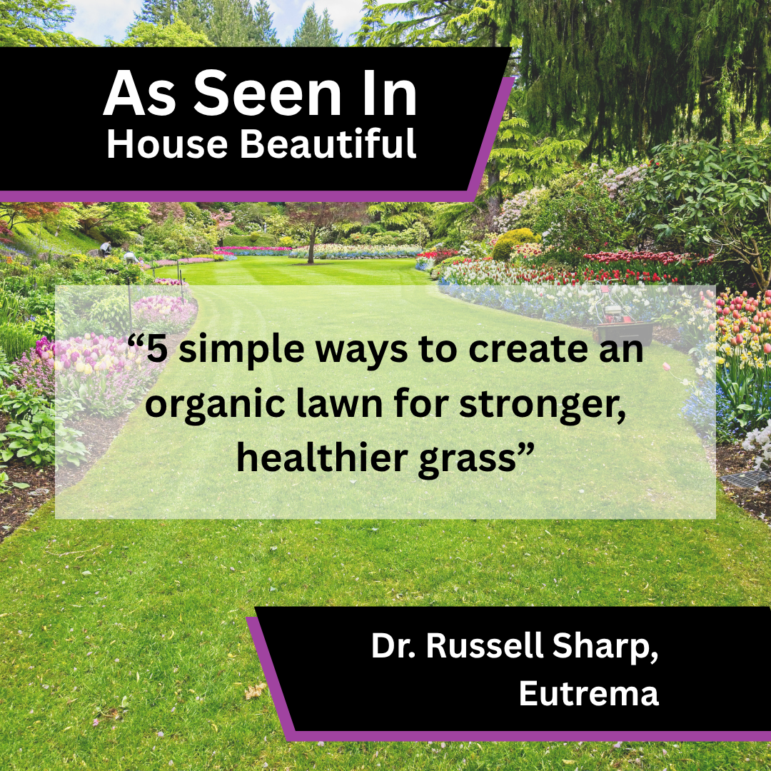 Eutrema media coverage in House Beautiful about 5 simple ways to create an organic lawn for stronger, healthier grass