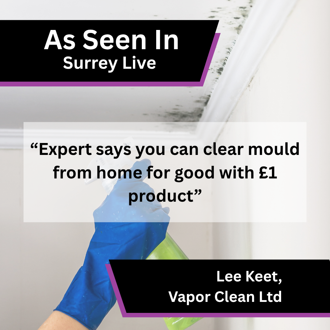 Vapor Clean Ltd media coverage in Surrey Live about How to Effectively Clean Mould from Walls and Ceilings A…