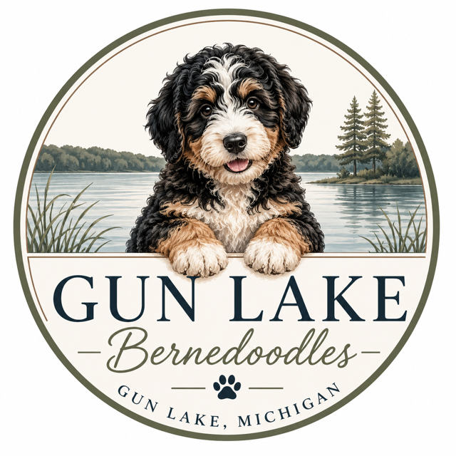 Gun Lake Bernedoodles