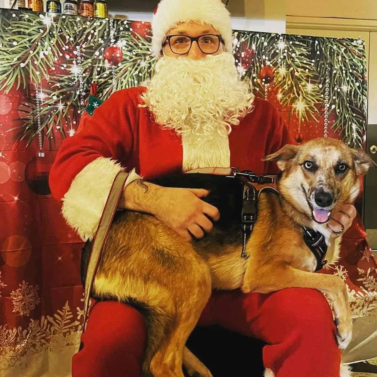 Man dressed as Santa Claus holding a smiling dog in front of a festive holiday backdrop featuring pine branches, ornaments, and snowflakes.