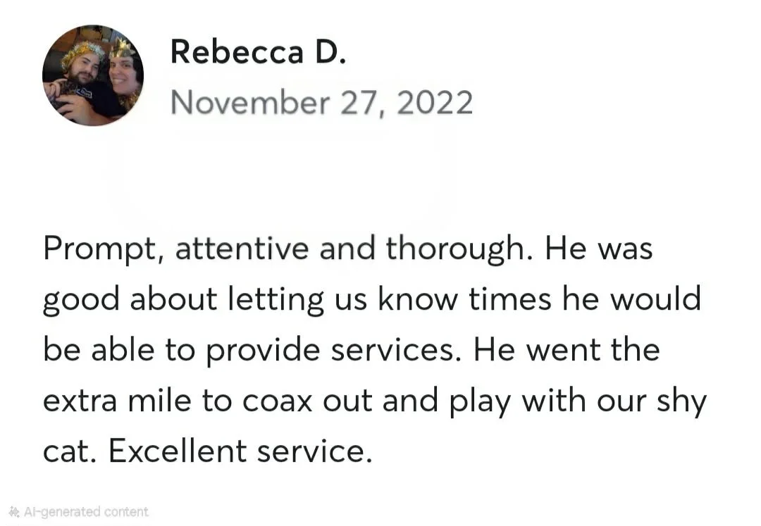 Screenshot of a review by Rebecca D. dated November 27, 2022, praising a service provider for being attentive and thorough, mentioning they went the extra mile to coax a shy cat out and play.