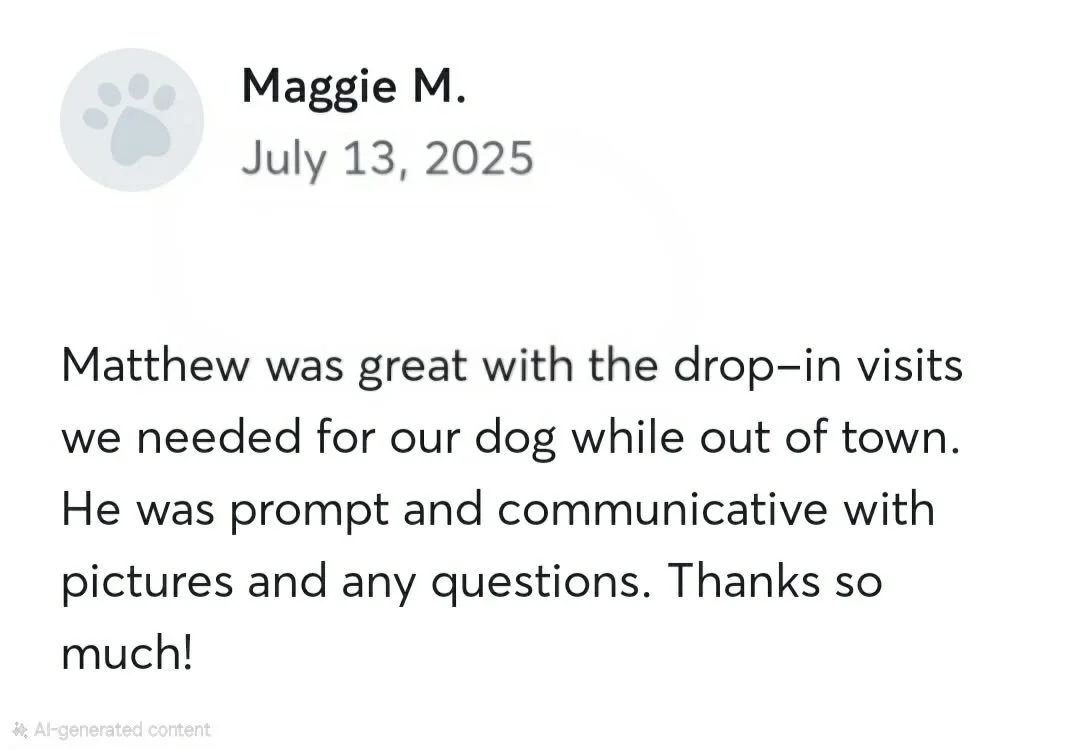 A positive Google review for a pet grooming service, dated July 13, 2025, praising Matthew for their prompt and communicative services during drop-in visits for a dog.