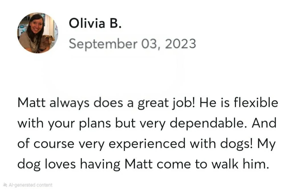 Screenshot of a review by Olivia B. dated September 03, 2023, praising Matt for doing a great job, being flexible, dependable, and experienced with dogs. The review mentions Olivia's dog loving having Matt come to walk him.