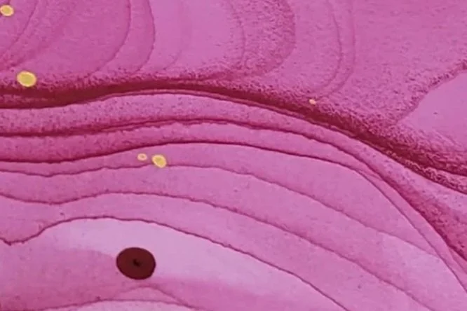 Close-up of pink, layered, textured surface with small yellow spots and a dark round spot.