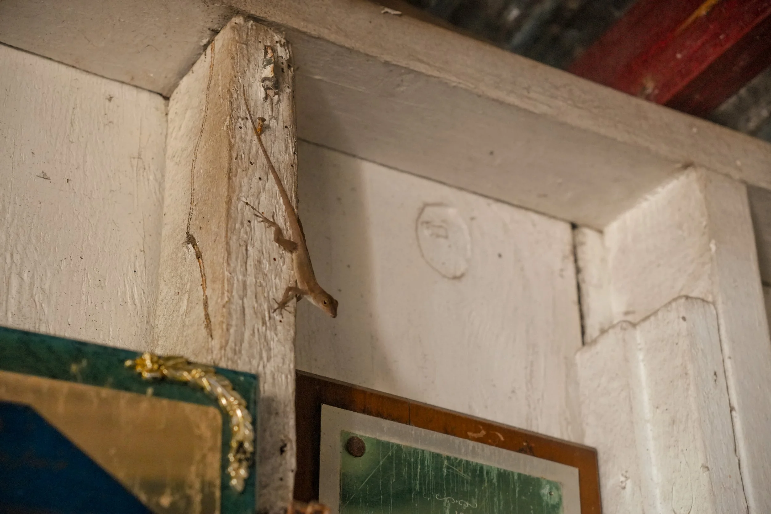 DSC03748.jpg