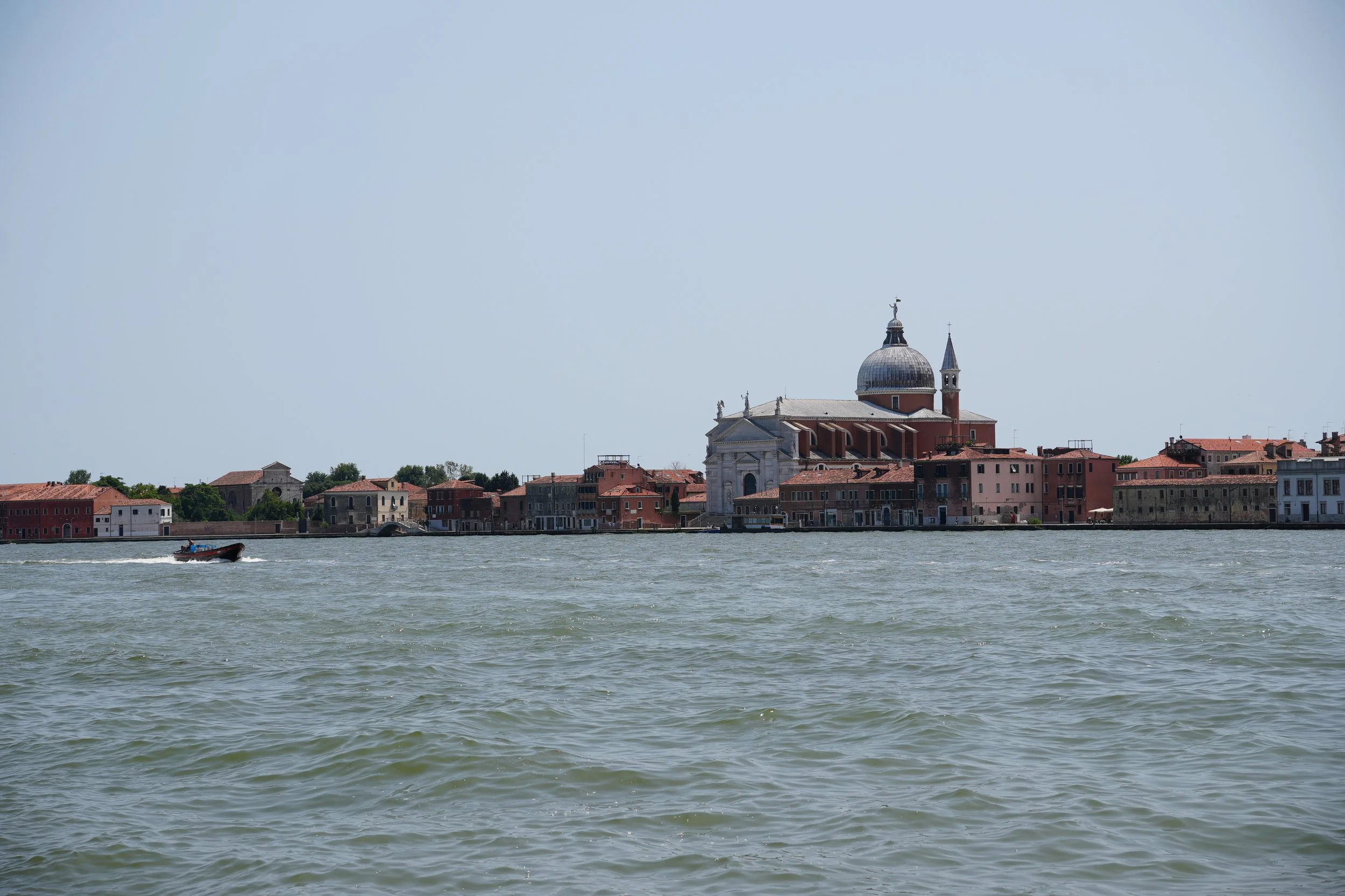DSC05596.jpg